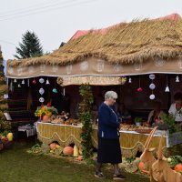 Zobacz w powiększeniu: Dożynki Powiatowe Baranów 2021 (12)